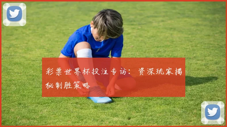 彩票世界杯投注专访：资深玩家揭秘制胜策略